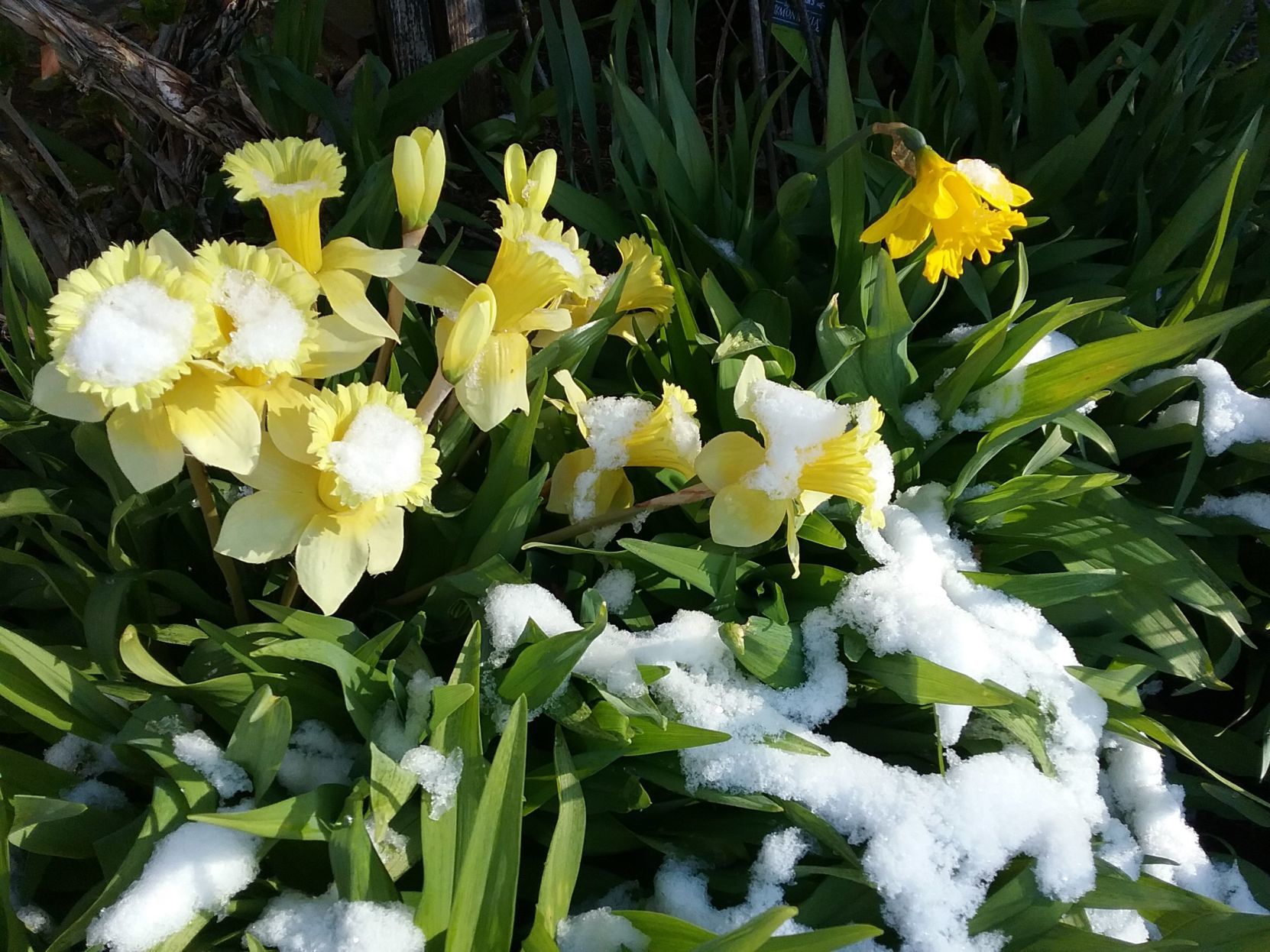 Springtime in Wisconsin
